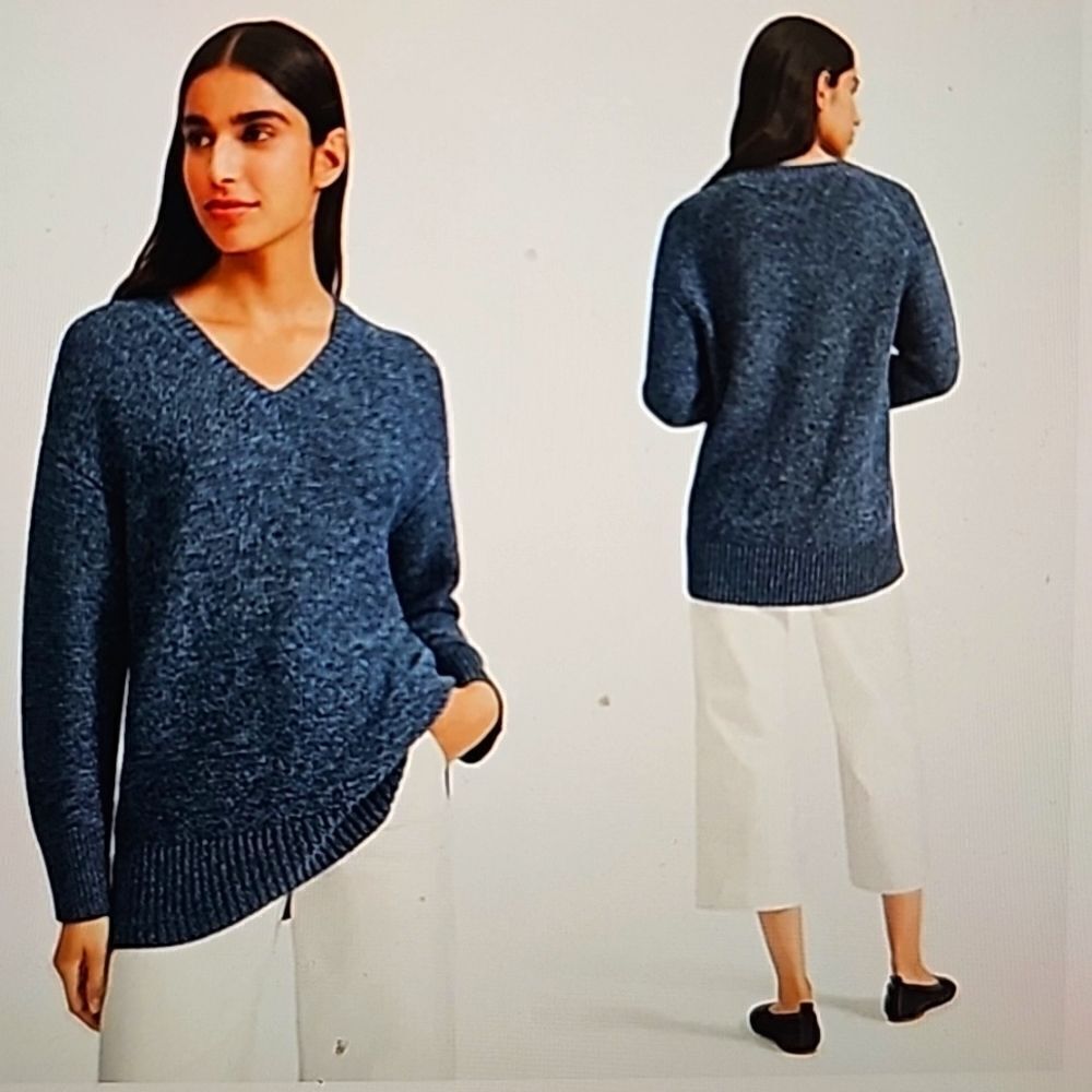 EVERLANE The Link-Stitch V-Neck Sweater xs